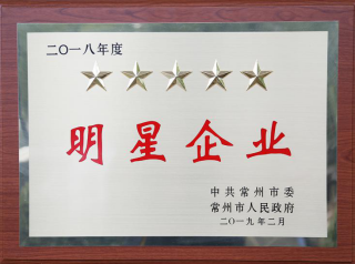常寶股份榮獲“工業(yè)五星級企業(yè)”、“納稅金獎(jiǎng)”等多項(xiàng)大獎(jiǎng)156.png